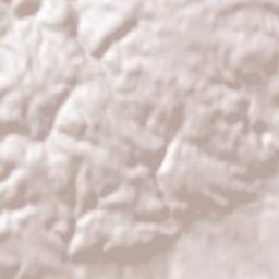 Viničné Šumice Terrain Map