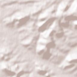 Erlenbach Terrain Map