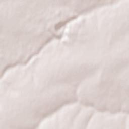 Tourville-sur-Odon Terrain Map