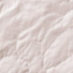 Manche Terrain Map