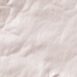 Saint-Amand Terrain Map