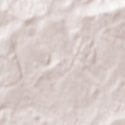 Faulquemont Terrain Map