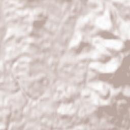 Rattiszell Terrain Map