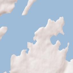 Lososina Terrain Map