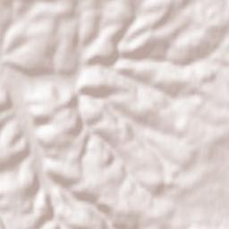 Eisingen Terrain Map