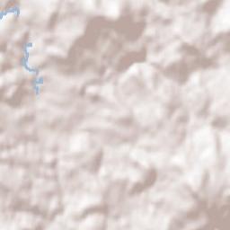 Rinchnach Terrain Map