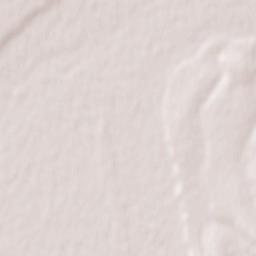 Svarychiv Terrain Map