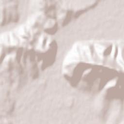 Strážske Terrain Map