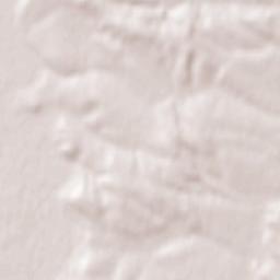 Chornoliztsi Terrain Map