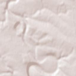 Skala-Podil’s’ka Terrain Map