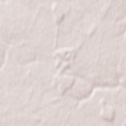 Verkhniachka Terrain Map