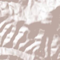 Perechyn Raion Terrain Map