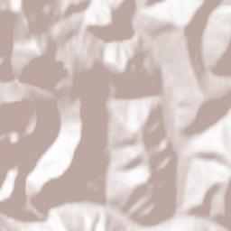 Volovets Raion Terrain Map