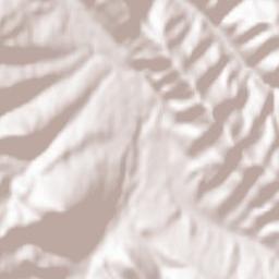 Rozhnyativs’kyy Rayon Terrain Map