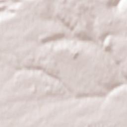 Leinfelden-Echterdingen Terrain Map
