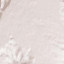 Lehota pod Vtáčnikom Terrain Map