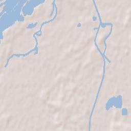 Rheinau Terrain Map