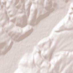 Nevyts’ke Terrain Map