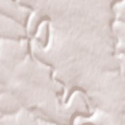 Smotrych Terrain Map