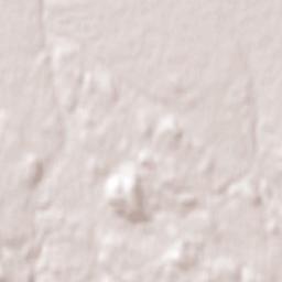 Saint-Nazaire Terrain Map