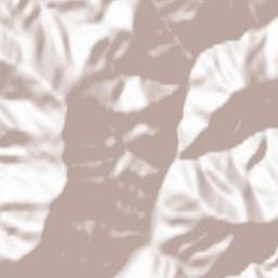 Synevyrska Poliana Terrain Map