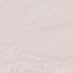 Partyzans’ke Terrain Map