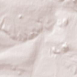 Pervomays’k Terrain Map