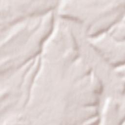 Pulligny Terrain Map