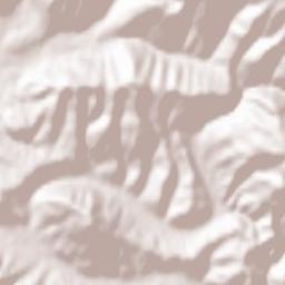 Nelipyno Terrain Map