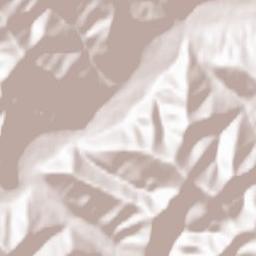 Pasichna Terrain Map