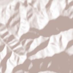 Nadvirnyans’kyy Rayon Terrain Map