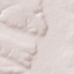 Glubokiy Terrain Map