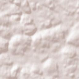 Westerheim Terrain Map