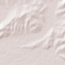 Rakoshyno Terrain Map