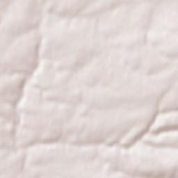 Javron-les-Chapelles Terrain Map