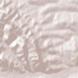 Yabluniv Terrain Map