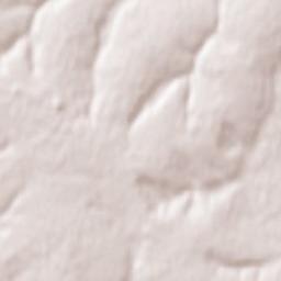 Dnipro Raion Terrain Map