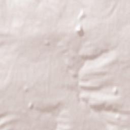 Artemivs’k Terrain Map