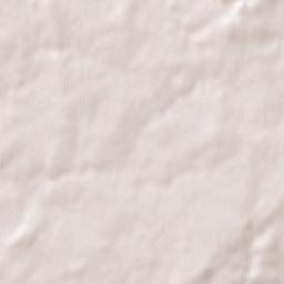 Saint-Sauveur-des-Landes Terrain Map