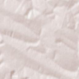 Briceni Terrain Map
