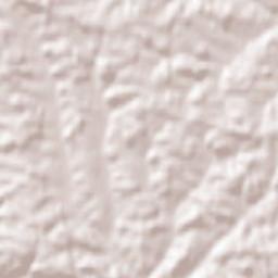 Pleiskirchen Terrain Map