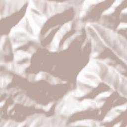 Vorokhta Terrain Map