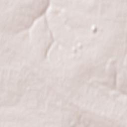 Chornukhyne Terrain Map