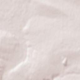 Gornyatskiy Terrain Map