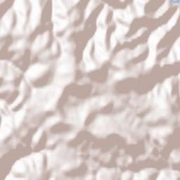 Lauterbach/Schwarzwald Terrain Map