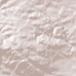 Neidling Terrain Map