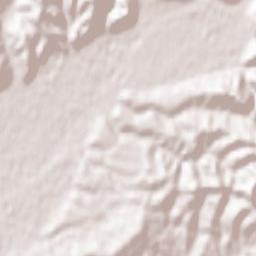 Horinchovo Terrain Map