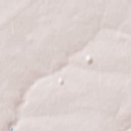 Pokrovsk Terrain Map