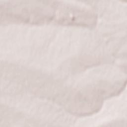 Sholokhovskiy Terrain Map