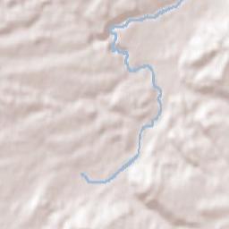 Dauchingen Terrain Map